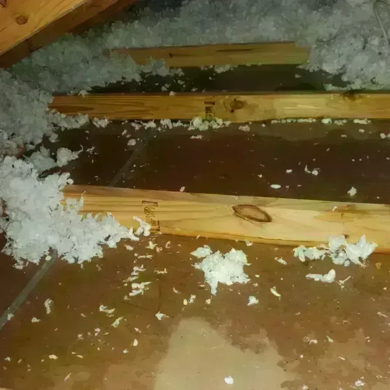 Attic Water Damage in Missouri City, TX