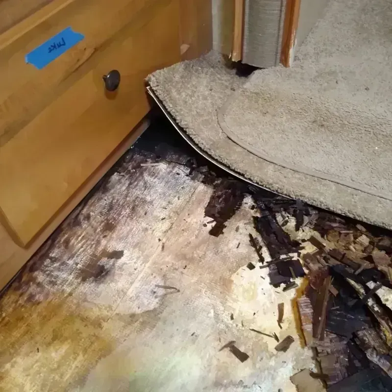 Wood Floor Water Damage in Missouri City, TX